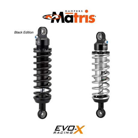 DOUBLE AMORTISSEUR M40D H.D. SPORTSTER / XL 1200C CUSTOM 07/20