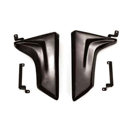 écopes de radiateur carbone