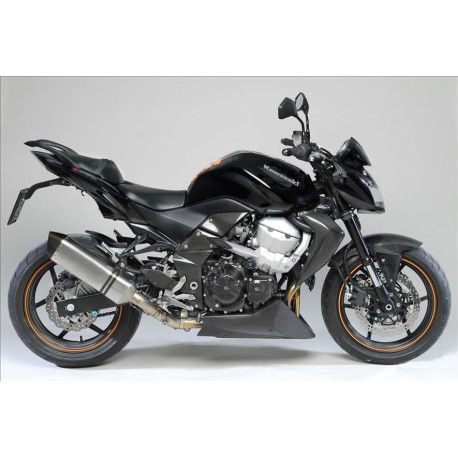 ecopes de radiateur carbone ( paire )