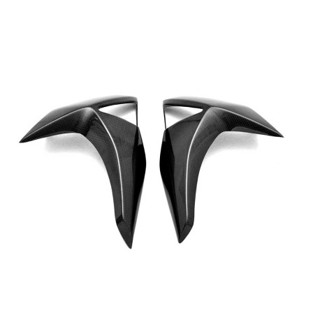 ecopes de radiateur carbone