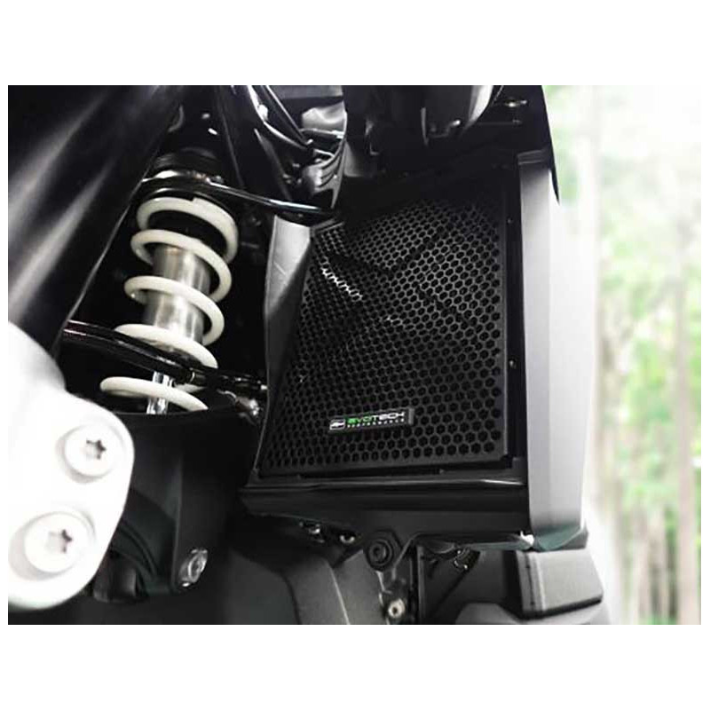 EP GRILLES DE RADIATEUR BMW R 1300 GS 2024