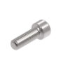 Evotech M10 x 30 x 1.5mm Vis  - 316 S/S
