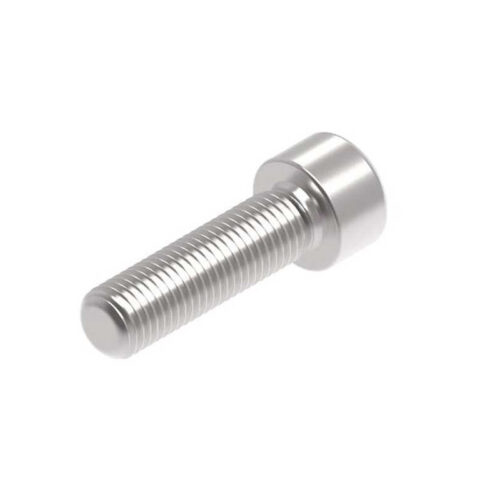 Evotech M10 x 35 x 1.25mm Vis  - 316 S/S