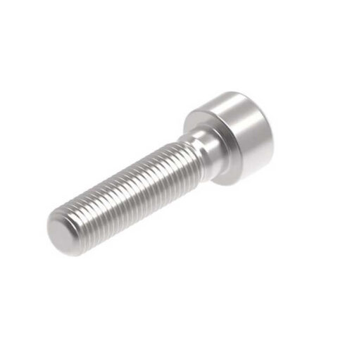 Evotech M10 x 40 x 1.25mm Vis  - 316 S/S