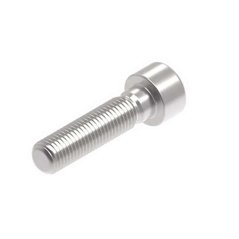 Evotech M10 x 40 x 1.25mm Vis  - 316 S/S