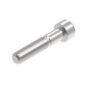 Evotech M10 x 50 x 1.25mm Vis  - 316 S/S