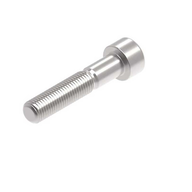 Evotech M10 x 50 x 1.25mm Vis  - 316 S/S