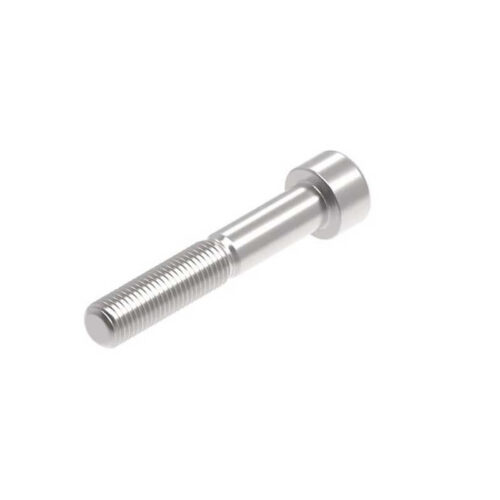 Evotech M10 x 60 x 1.25mm Vis  - 316 S/S