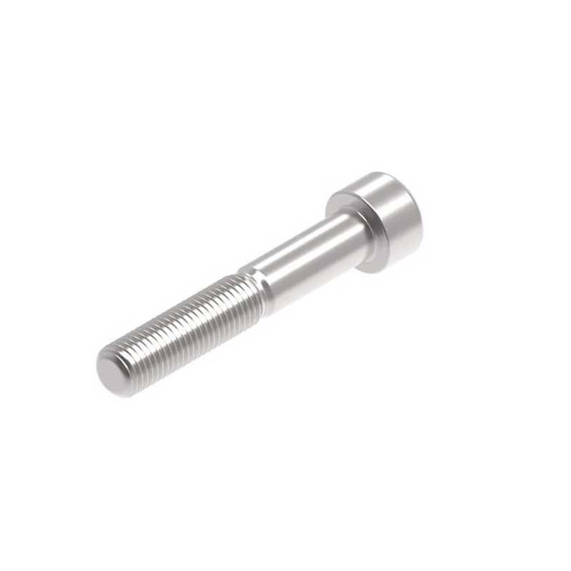 Evotech M10 x 60 x 1.25mm Vis  - 316 S/S