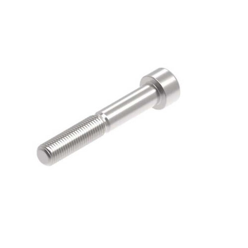 Evotech M10 x 65 x 1.25mm Vis  - 316 S/S