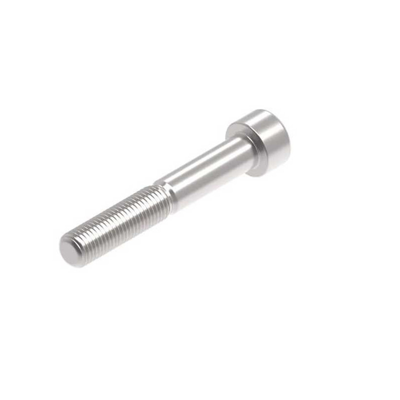 Evotech M10 x 65 x 1.25mm Vis  - 316 S/S