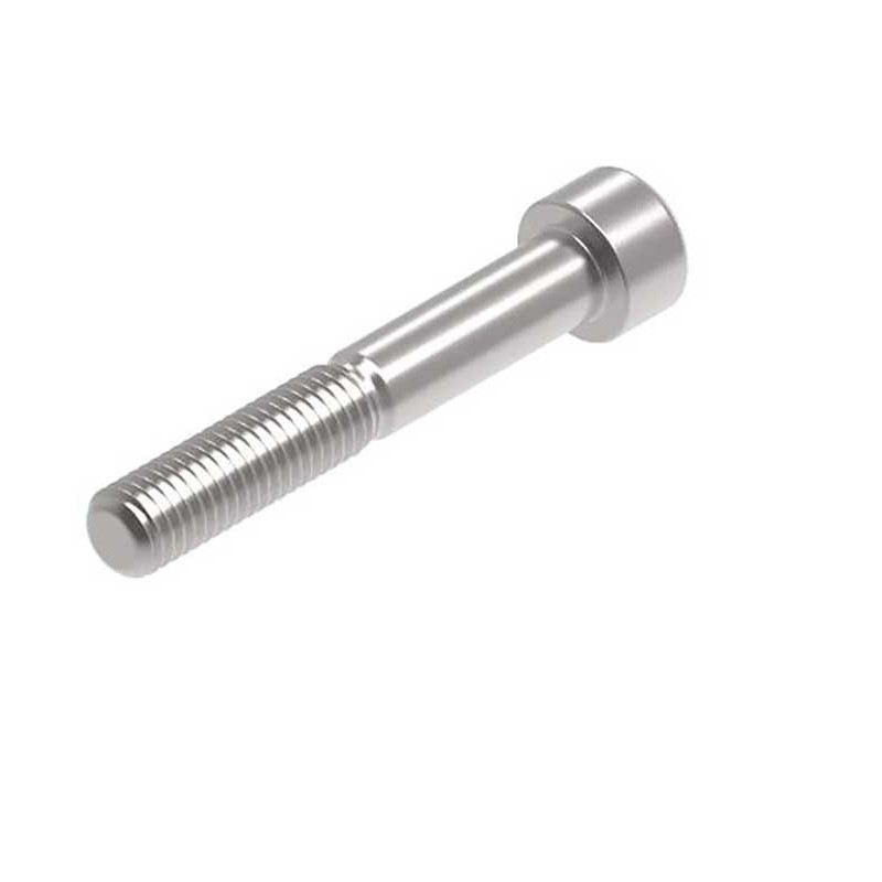 Evotech M10 x 65 x 1.5mm Vis  - 316 S/S