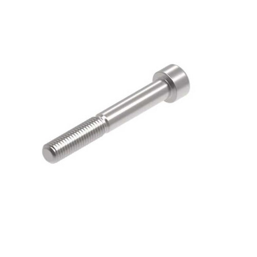 Evotech M10 x 75 x 1.5mm Vis  - 316 S/S