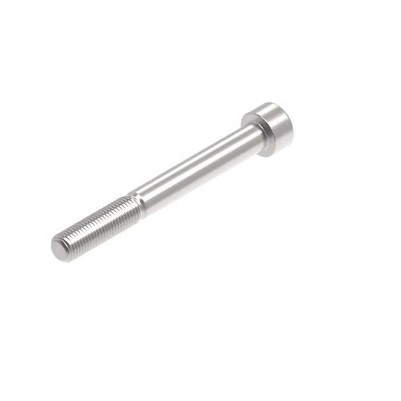 Evotech M10 x 90 x 1.25mm Vis  - 316 S/S