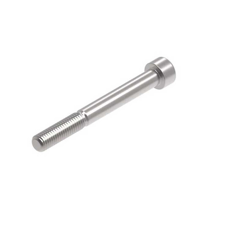 Evotech M10 x 90 x 1.5mm Vis  - 316 S/S