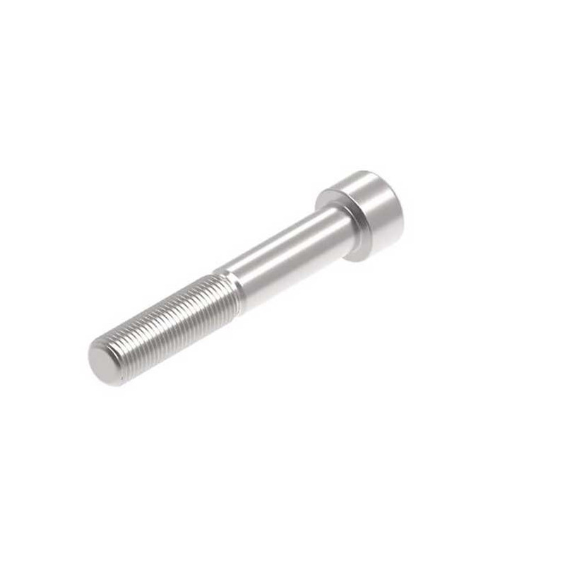 Evotech M12 x 75 x 1.25mm Vis  - 316 S/S