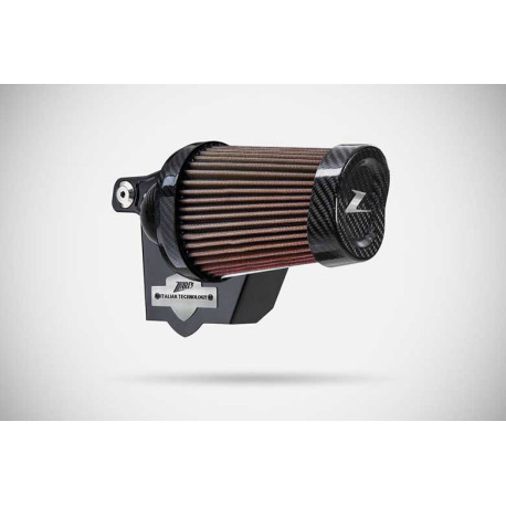 FILTRE A AIR ZARD CARBONE ALUMINIUM HARLEY DAVIDSON AMERICAN TOURING CRUISER