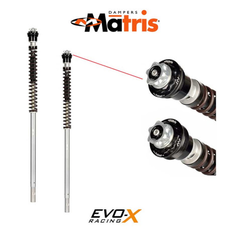 KIT FOURCHE MATRIS F20K KTM KTM RC 390 22/-