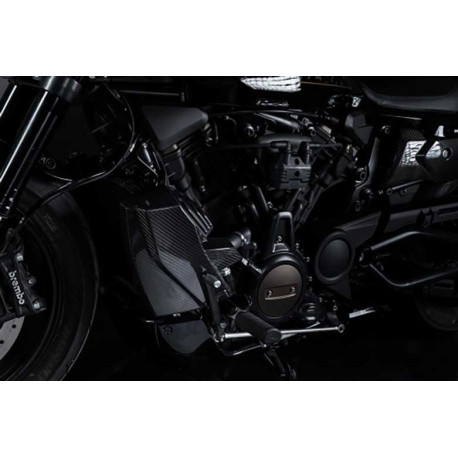 KIT PROTECTION RADIATEUR ET FLANC CARBONE ZARD