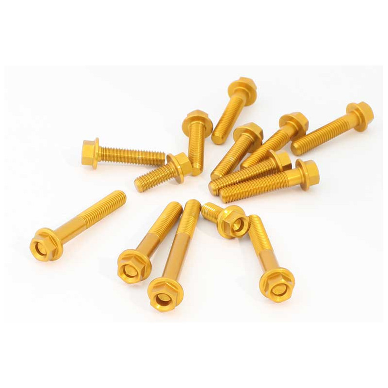 KIT VISSERIE MOTEUR EVOTECH BENELLI TORNADO 550 25