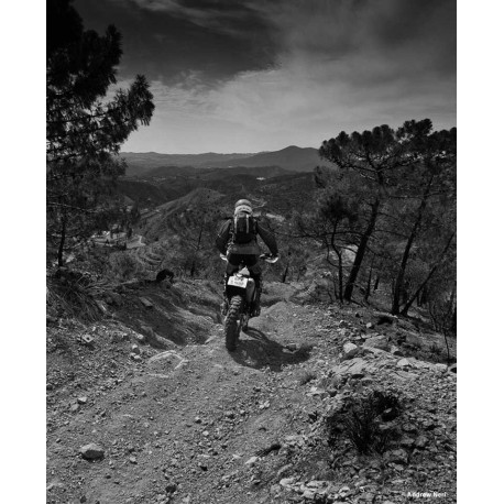 KRIEGA BACK PRO INSERT - S