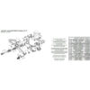 PARE TALON CARBONE COMMANDES RECULEES BONAMICI PIECE DETACHEE