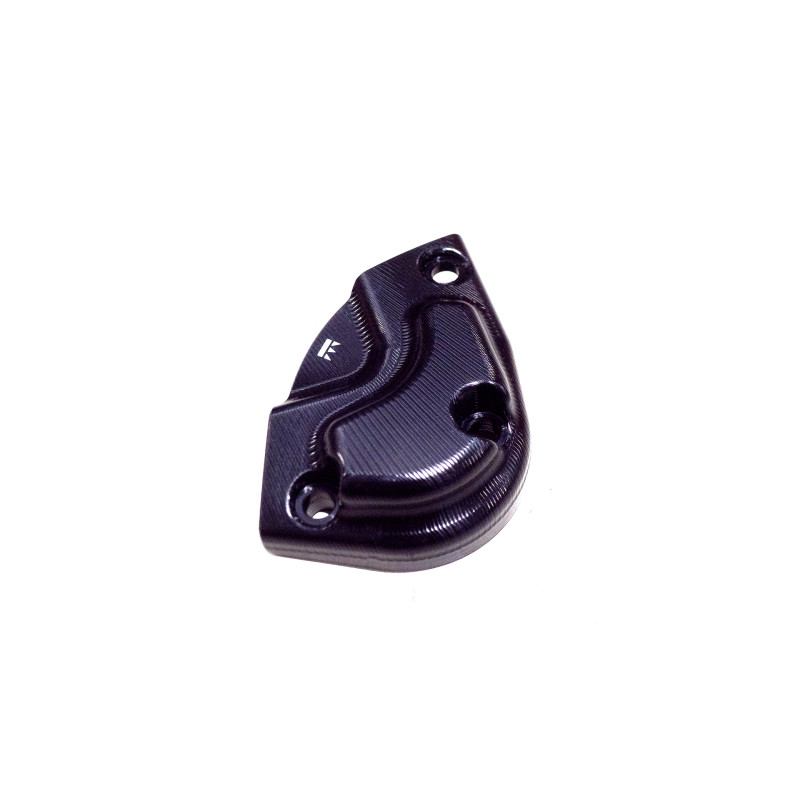 PROTECTION DE MOTEUR PICK UP DROIT TRIUMPH SPEED 1200 RS 2025