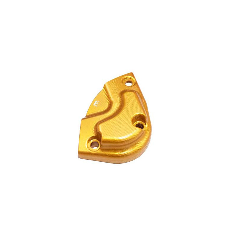 PROTECTION DE MOTEUR PICK UP DROIT TRIUMPH SPEED 1200 RS 2025