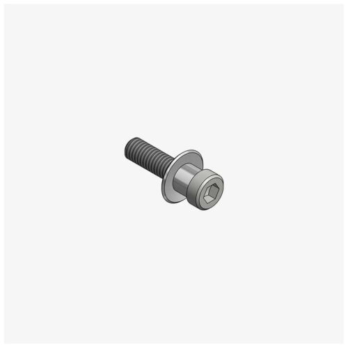 ADAPTATEUR PROTECTION LEVIER DE FREIN TRIUMPH 765 STREET R/RS/MOTO 2