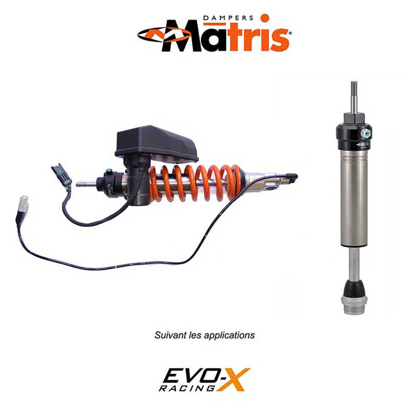 amortisseur AR Matris M36KD BMW R 1200 GS 04-12 ESA - SHOWA (front) amortisseur AR Matris M36KD BMW R 1200 GS 04-12 ESA - SHOWA (front)