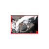 APRILIA RSV4 KIT VISSERIE MOTEUR EVOTECH