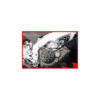 APRILIA RSV4 KIT VISSERIE MOTEUR EVOTECH