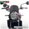 BULLE CAFFE NOIR SATINE Z900RS BIONDI