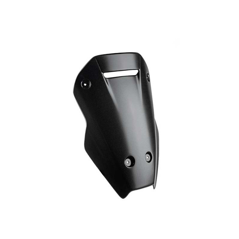 BULLE CARBONE LIGHTECH DUCATI