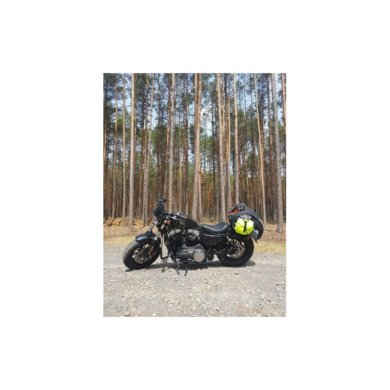 Bulle Dart Classic Harley Davidson Sportster XL1200X 49mm fork