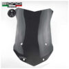 BULLE MAXI  FUME CLAIR BMW BIONDI