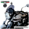 BULLE SPORT  FUME CLAIR GUZZI BIONDI