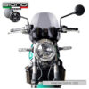 BULLE SPORT FUME CLAIR Z650RS BIONDI