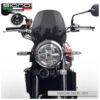BULLE SPORT FUME FONCE Z900RS BIONDI