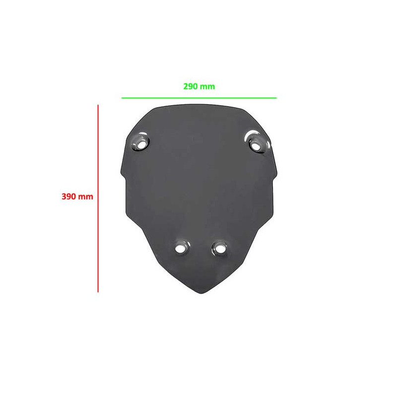 BULLE SPORT FUME MULTISTRADA V4 CNC RACING