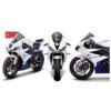 Bulle Triumph Daytona 675