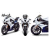 Bulle TRIUMPH DAYTONA 675 MARC 1