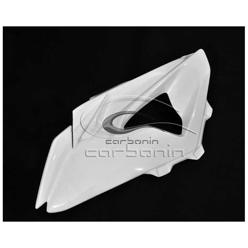 CARÉNAGE COMPLET AVIO FIBRE CARBONIN BMW S1000RR 2010/2014 ECHAPPEMENT OEM