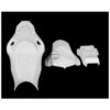 CARÉNAGE COMPLET AVIO FIBRE CARBONIN BMW S1000RR 2010/2014 ECHAPPEMENT OEM