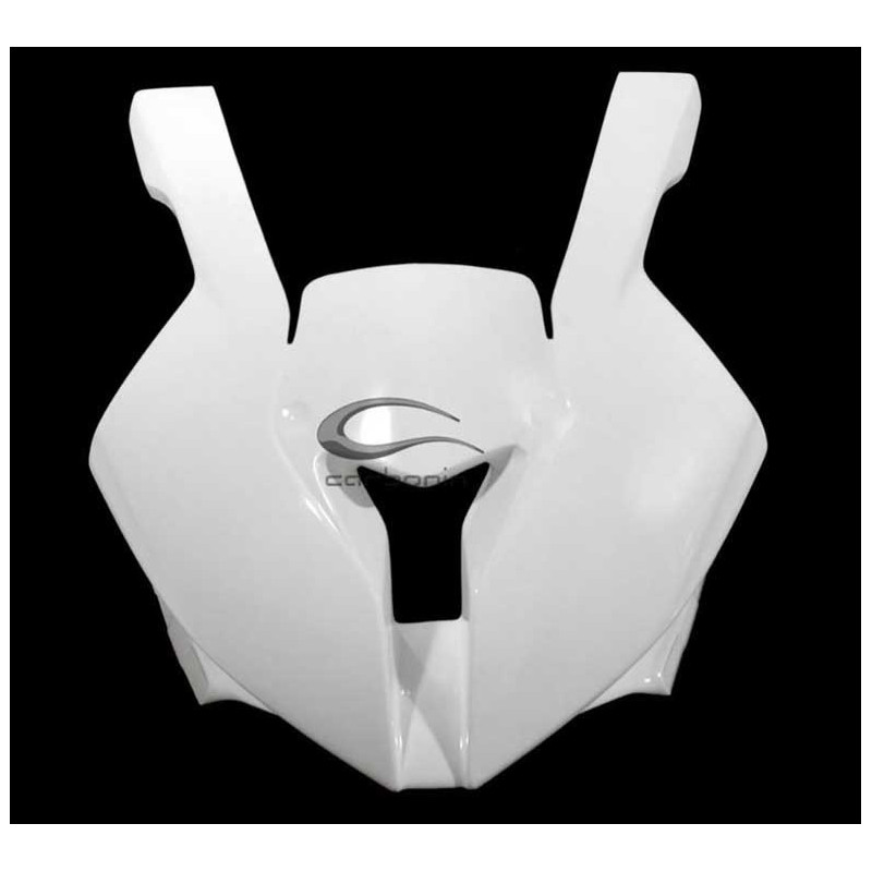 CARÉNAGE COMPLET AVIO FIBRE CARBONIN BMW S1000RR 2010/2014 ECHAPPEMENT OEM