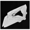 CARÉNAGE COMPLET AVIO FIBRE CARBONIN BMW S1000RR 2010/2014 ECHAPPEMENT RACING