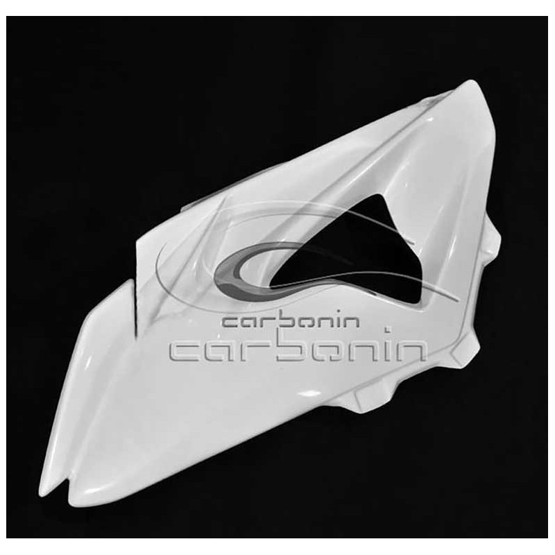 CARÉNAGE COMPLET AVIO FIBRE CARBONIN BMW S1000RR 2010/2014 ECHAPPEMENT RACING