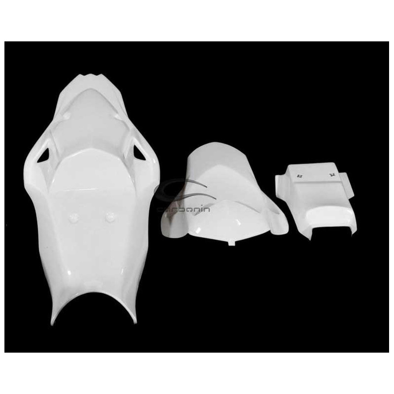 CARÉNAGE COMPLET AVIO FIBRE CARBONIN BMW S1000RR 2010/2014 ECHAPPEMENT RACING