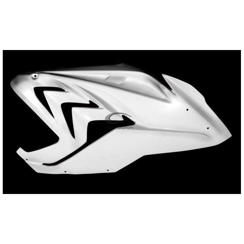 CARÉNAGE COMPLET AVIO FIBRE CARBONIN BMW S1000RR 2015/2018 RADIATEUR OEM