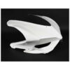 CARÉNAGE COMPLET AVIO FIBRE CARBONIN DUCATI PANIGALE 899/1199
